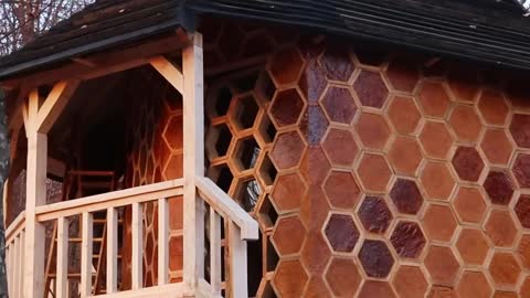 Building a Bee house in the forest alone