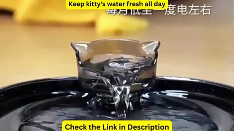 Cat Water Fountain Auto Recirculate Filtring Cats Dog Water Dispenser USB Electric Mute Pump Cat Ear