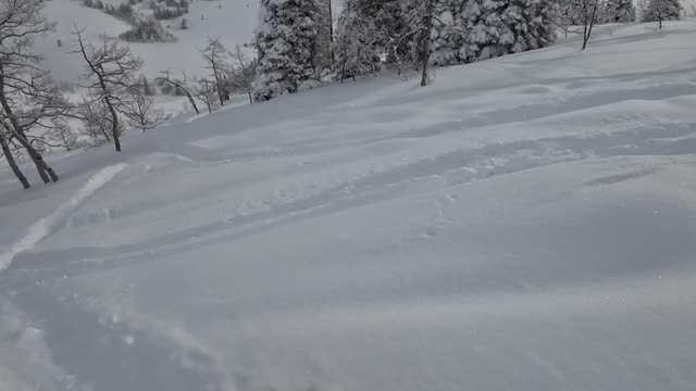 Jan 29th second run we did past cherry ridge