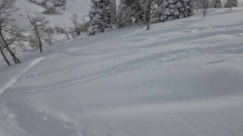 Jan 29th second run we did past cherry ridge