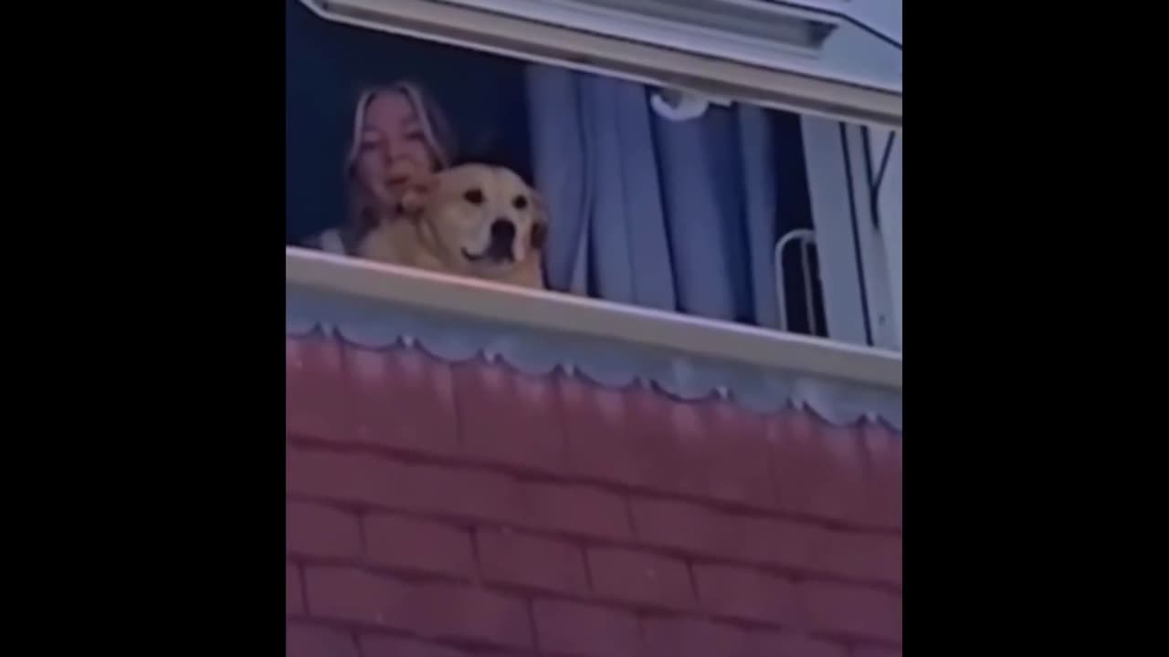Funny Dogs And Cats Video 2023😅😂- Best funny animal videos