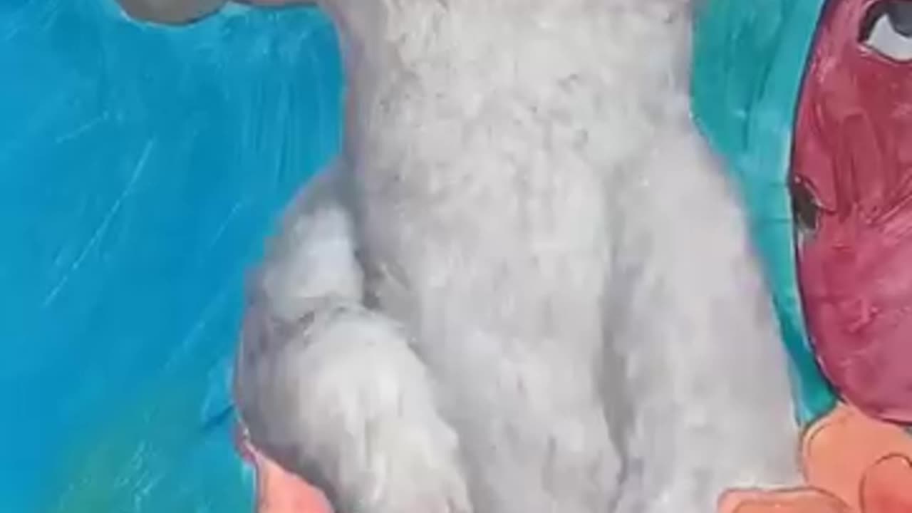 Amazing Art color
