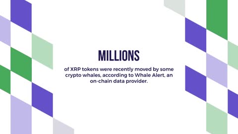 Whale Alert Spots Large Ripple (XRP) Transactions – What Does It Mean?