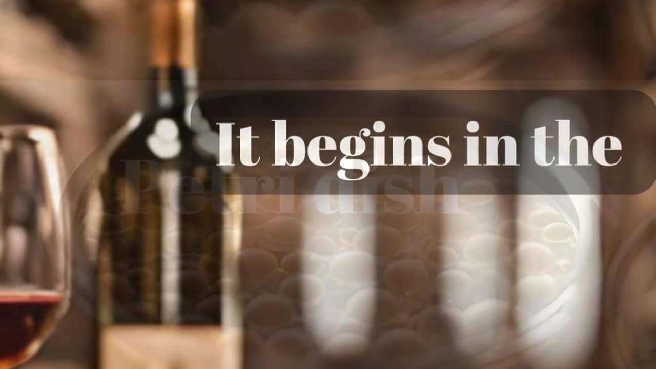 Winers Wine