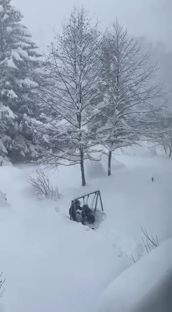 Snowfall is not a hindrance to entertainment