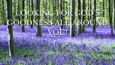 Looking For God's Goodness All Around You!