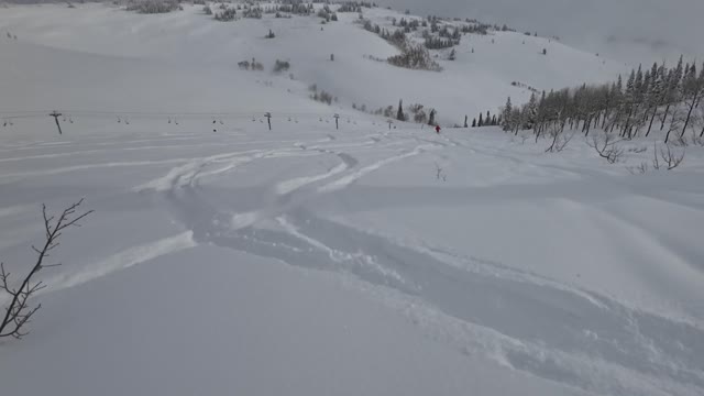 Jan 29th bottom half of the last run out of cherry ridge
