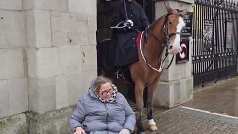 🇬🇧💂Heartwarming moment Kings Guard.