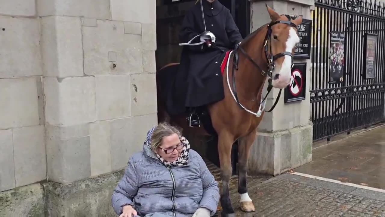 🇬🇧💂Heartwarming moment Kings Guard.