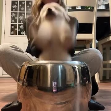 Cute puppy playing with Drum