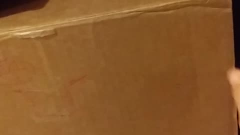 MARINE CAT IN THE BOX