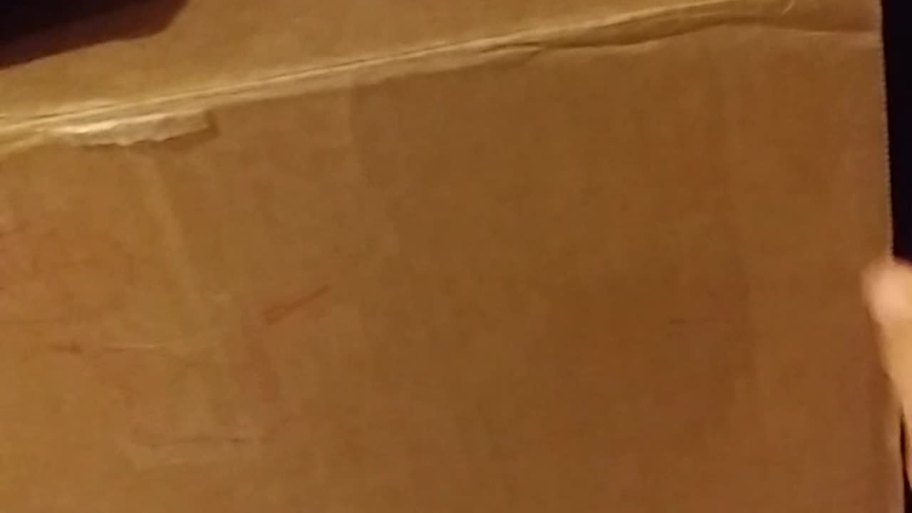 MARINE CAT IN THE BOX