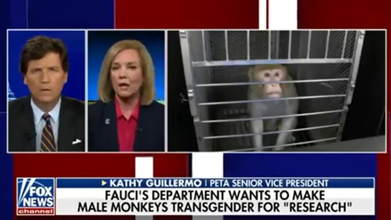 TUCKER CARLSON FAUCI 🧪EXPERIMENTING ON 🙈TO MAKE THEM 🙊TRANSGENDER