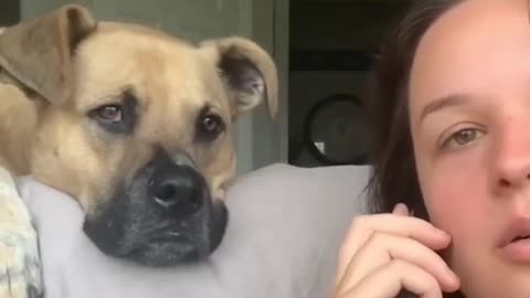 Best Funniest Animals Complication Found On Internet😂 #Part 1 - Try Not To Laugh 😜😍 #funnyvideo