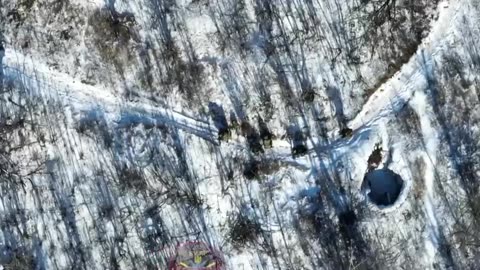 +5 Orcs Walk Under Drone Bomb Are Wiped Out