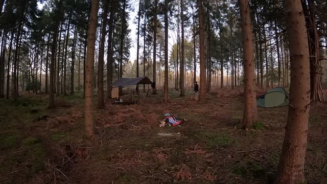 Clearing up after sawing wood in the woods. 20th Jan 2023. Timelapse. GOPRO.