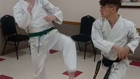 Shodan practicing