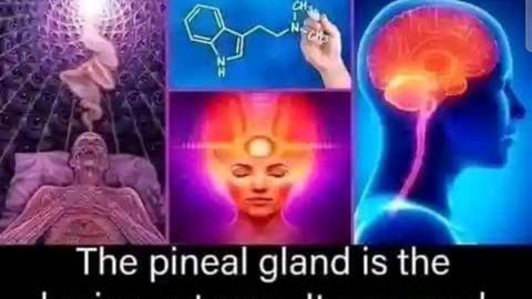 What is the PINEAL GLAND ? Eden's Living TV