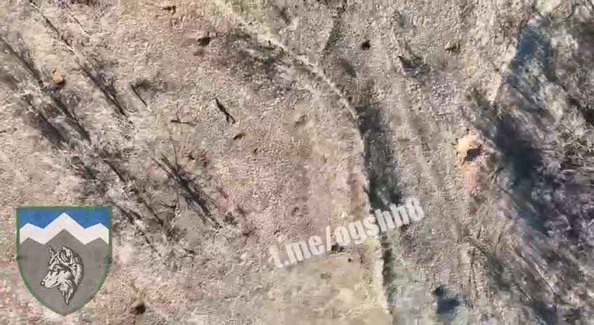 Following Orcs with Drone Grenades
