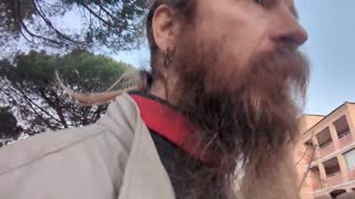 2023-01-31 (2) - gjvtg - Twitch Triskelina