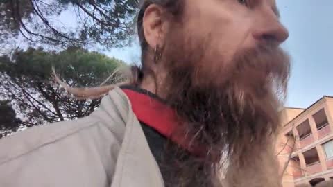 2023-01-31 (2) - gjvtg - Twitch Triskelina