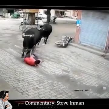 Revenge of the Bulls