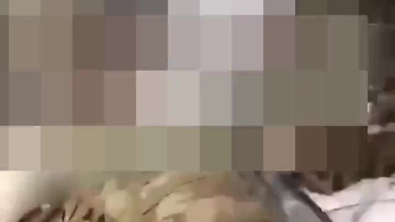 Ukrainian soldiers executing Russian POWs, again (censored)