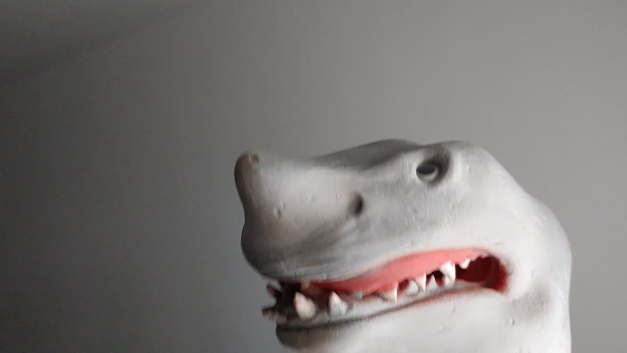 Sharky Intro