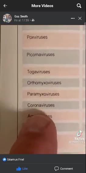 1989 Medical Book on Corona Viruses