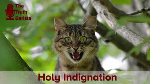 Holy Indignation