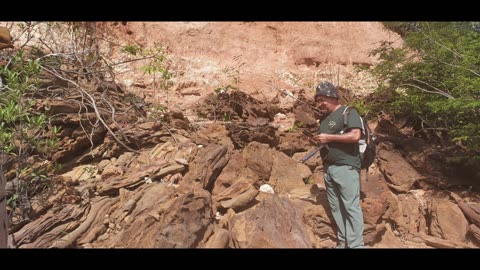 Mapas tridimensionais geoturísticos de Anavilhanas são produzidos no Amazonas