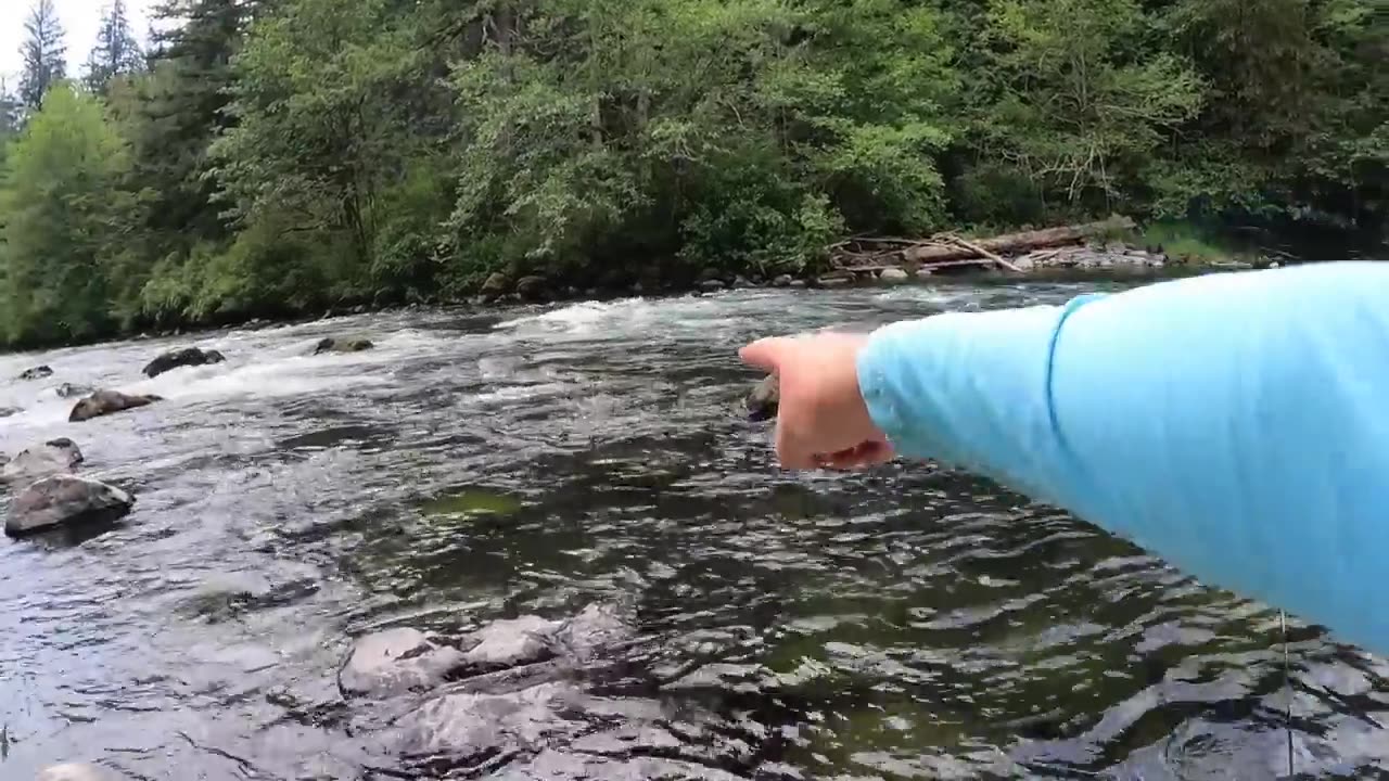 SOLO Trout Fishing REMOTE RIVER with my DOGS!!! (Catch & Cook)