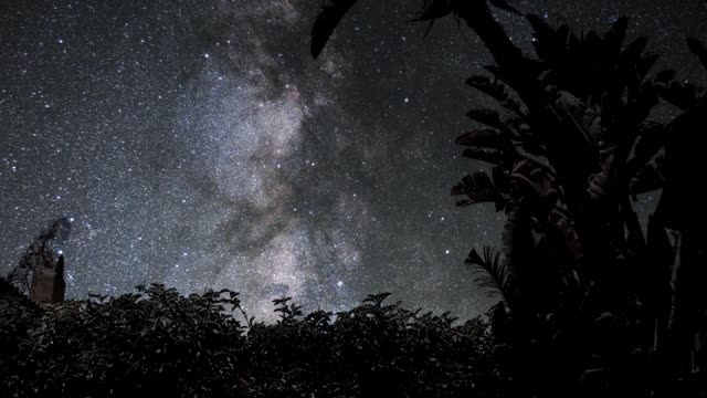 Starry night on the beach