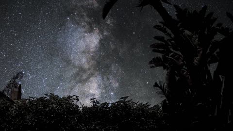 Starry night on the beach