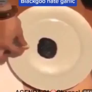 블랙구는 생마늘을 싫어한다