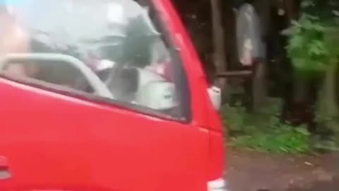 driver idiot