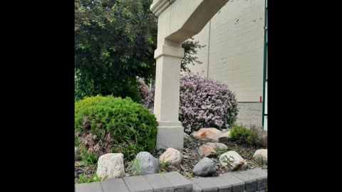 Masjid Al Ameen, Edmonton