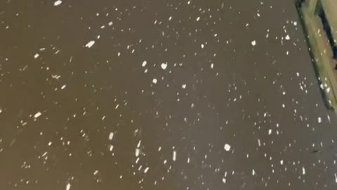 Första snön ❄️
