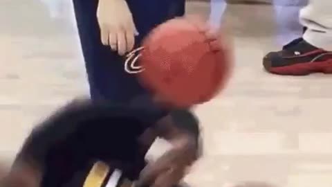 LeBron James Funny Basketball Clip