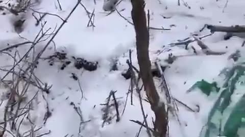 Russian sniper frozen to the ground