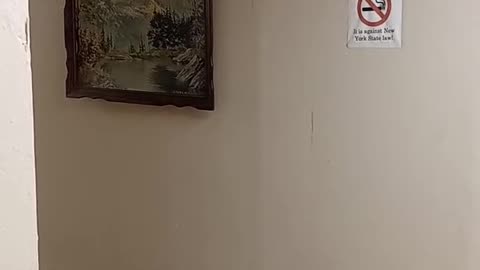 MY ALCOHOLIC NEIGHBOR TALKS TO HIMSELF