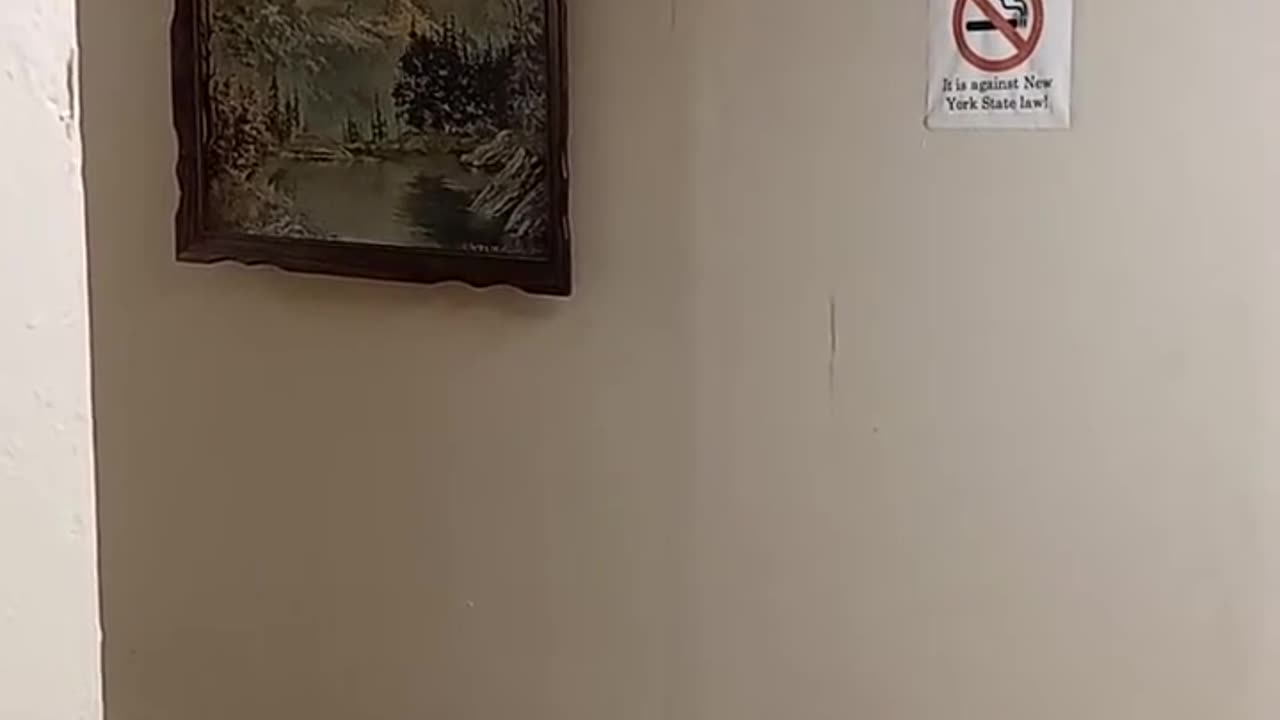 MY ALCOHOLIC NEIGHBOR TALKS TO HIMSELF