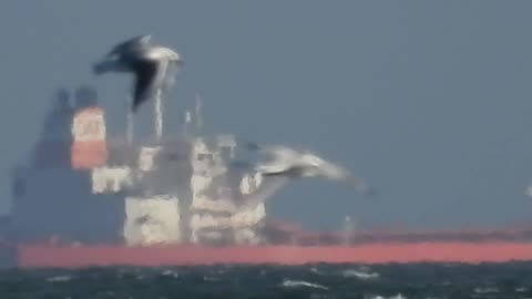 Boats Don't go over the curve