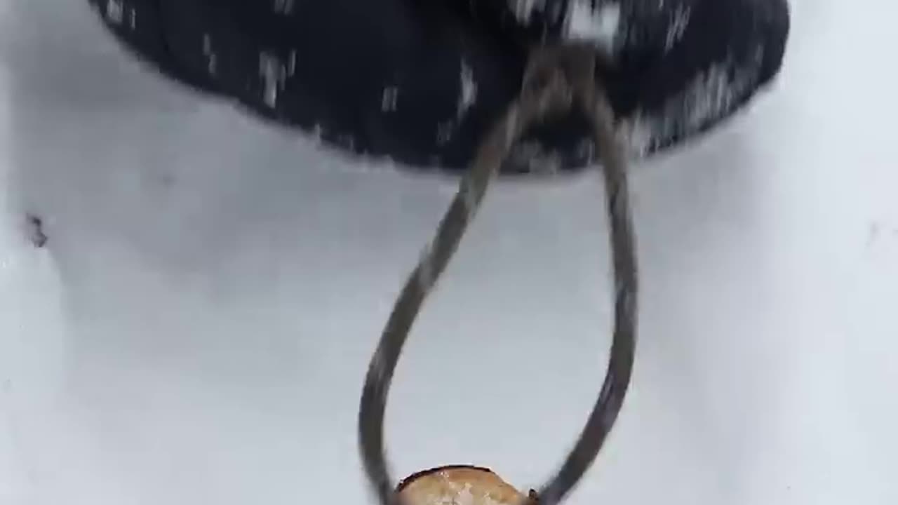 Girl builds WINTER shelter IGLOO 🥶👩 #camping #survival #bushcraft #outdoors #lifehack