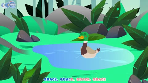 5 Little ducks (Learn Colors Song) | Little Fish Tales | #duck