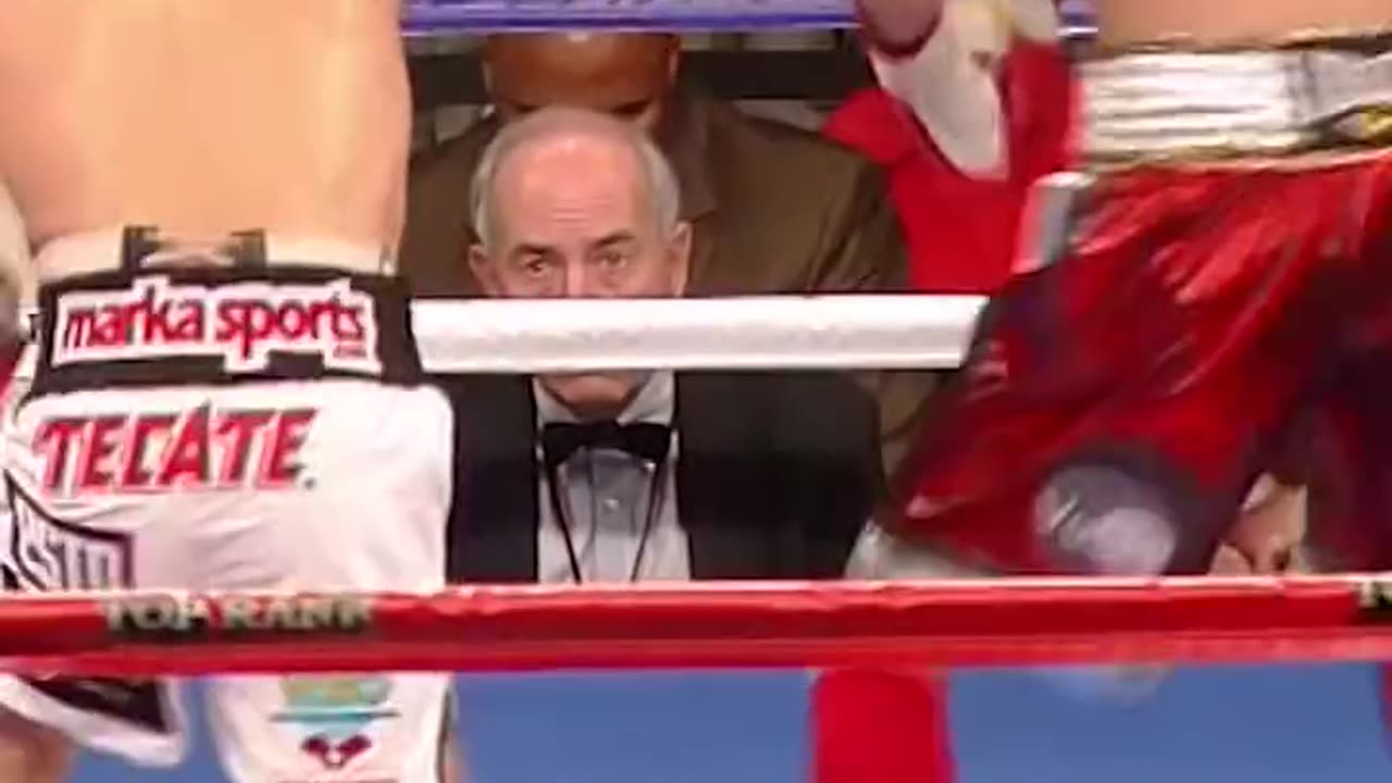 Nonito Donaire Classic Check Hook