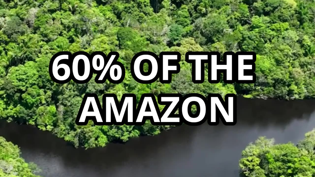 Random Facts about Brazil
