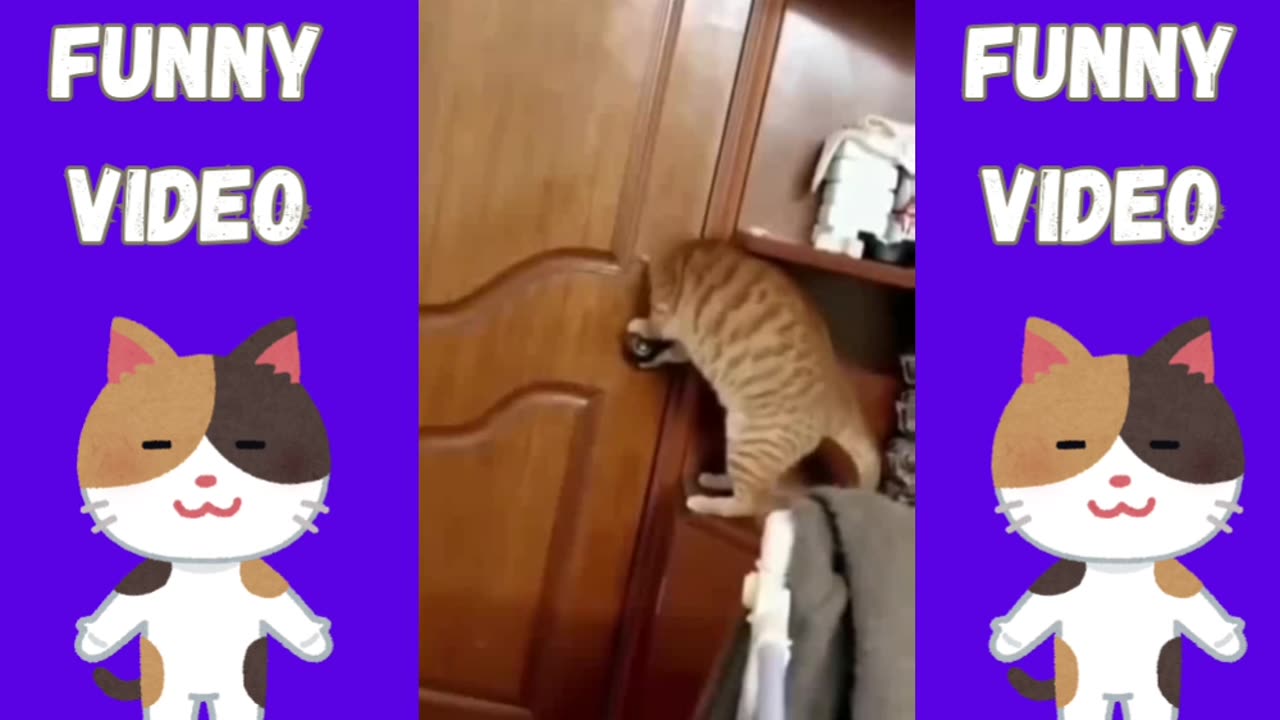 Funny cats&dog|Hilarious cat and dog moments|Cats and dogs funny videos|funny animal|try not laugh