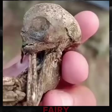 Tündérek léteznek?