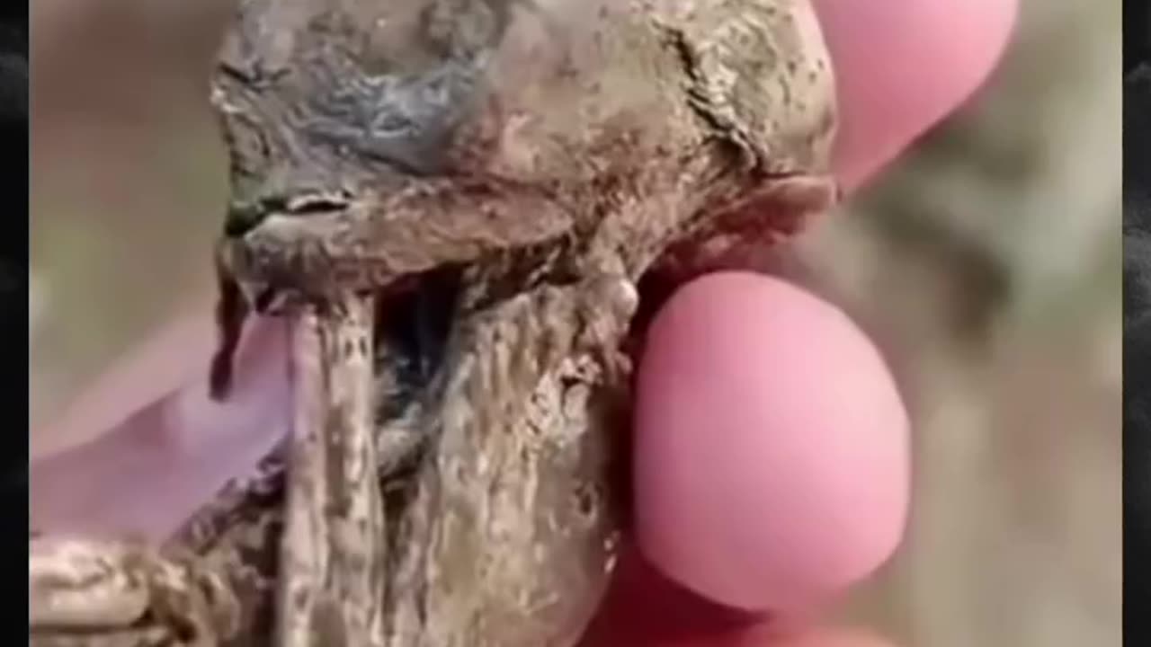 Tündérek léteznek?